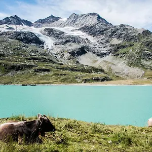 Meublè Stelvio Frühstückspension